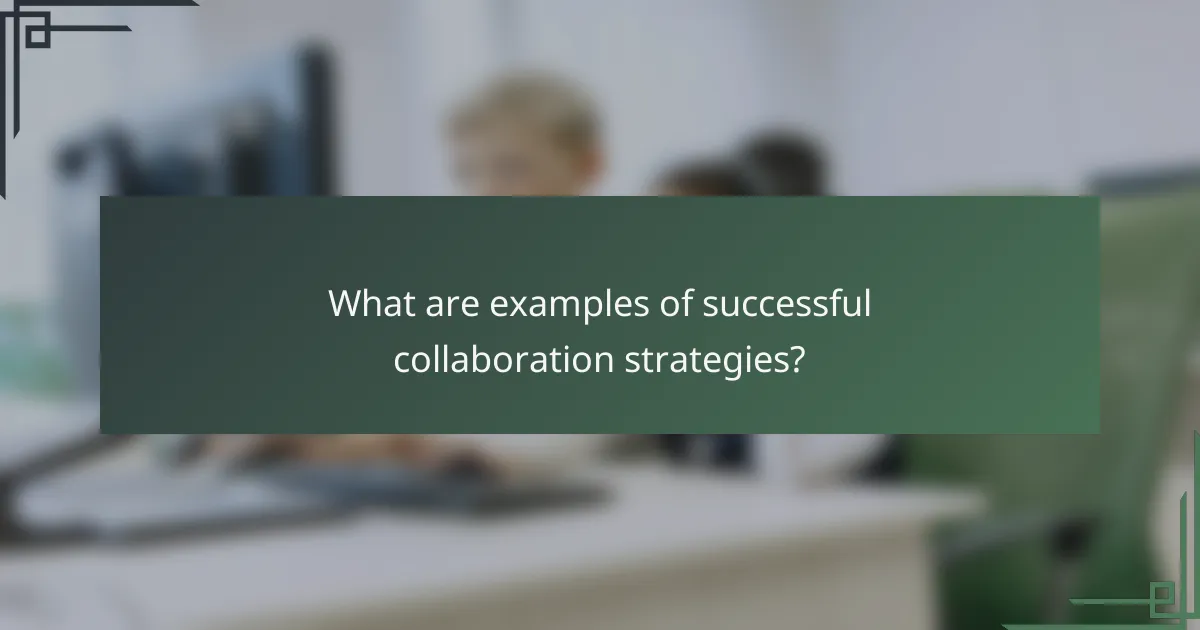 What are examples of successful collaboration strategies?